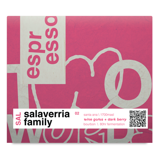 EL SALVADOR - BOURBON - 80HR FERMENTATION- XMAS!