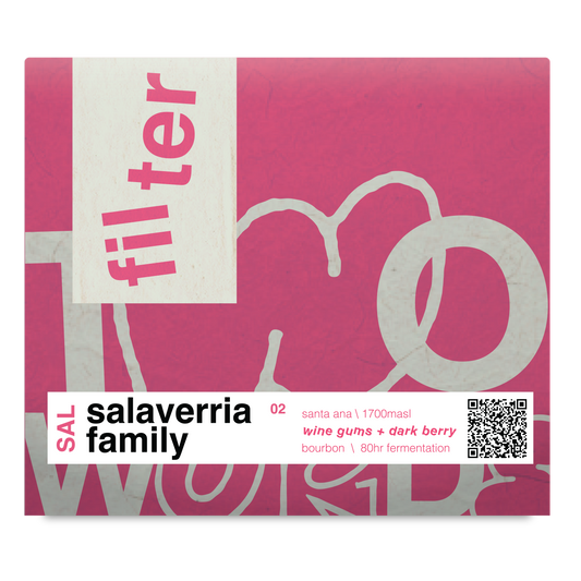 EL SALVADOR - BOURBON - 80HR FERMENTATION- XMAS!